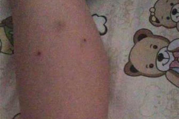 小舞奇遇记下拉漫画txt全集电子书免费下载奇猫趣事网 示例图 - 说明文字