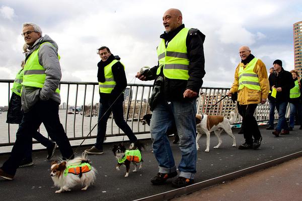 军情五处第四季全集免费在线观看-英国欧 示例图 - 说明文字