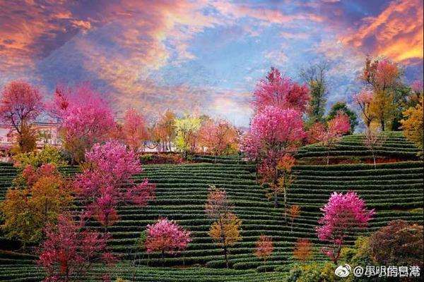 交合集重磅来袭1300部作品如何筛选最佳中文汉字内 示例图 - 说明文字