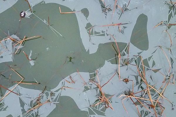 尽情在房间里玩耍游戏冷狐版下载-2021最新冷狐游戏下载链接 示例图 - 说明文字