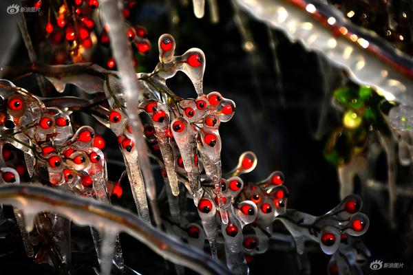 呕吐=美团姑娘怎么约，美团骑手如何进行预约(2024-12-07 21-0) 示例图 - 说明文字