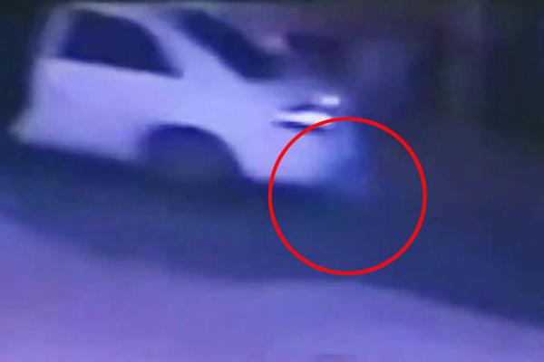 zoomservo兽-科技幻想未来生物 示例图 - 说明文字