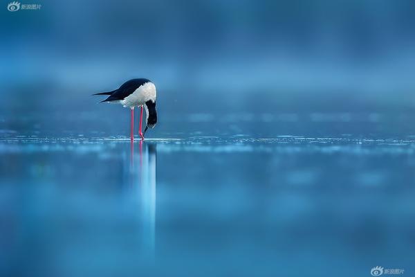 尝心蜜迈开腿尝尝你的草莓 示例图 - 说明文字