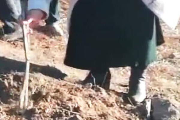 2024年管家婆100%中奖安全设计说明法 示例图 - 说明文字