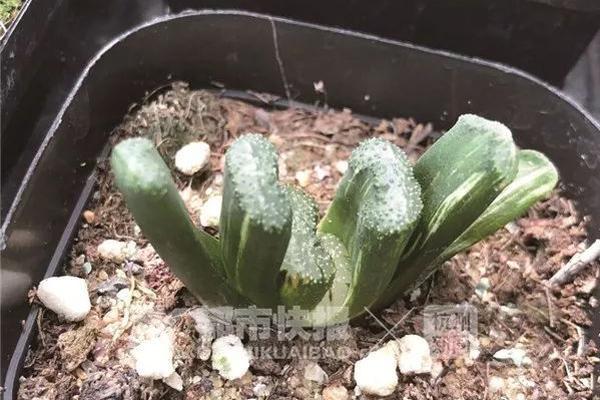 你下水好多下水道高清免费在线观看 示例图 - 说明文字