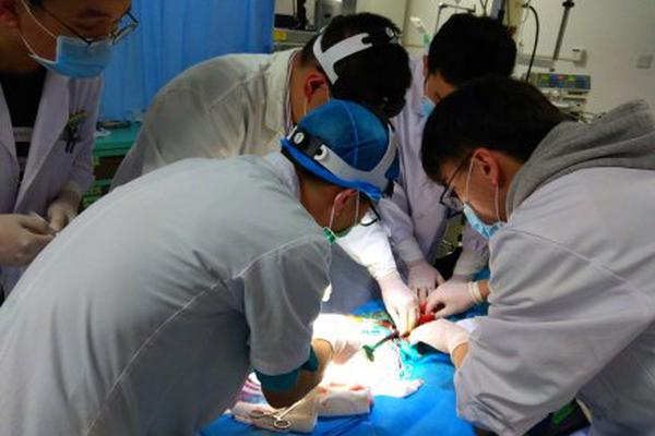 [ssis-899]山手梨惊艳演绎 仰天长啸美若天仙! 示例图 - 说明文字