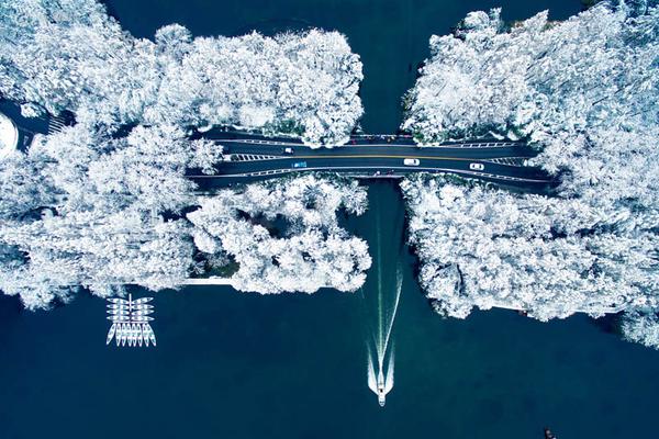 公司公厕小说免费阅读2025最新章节更新 示例图 - 说明文字