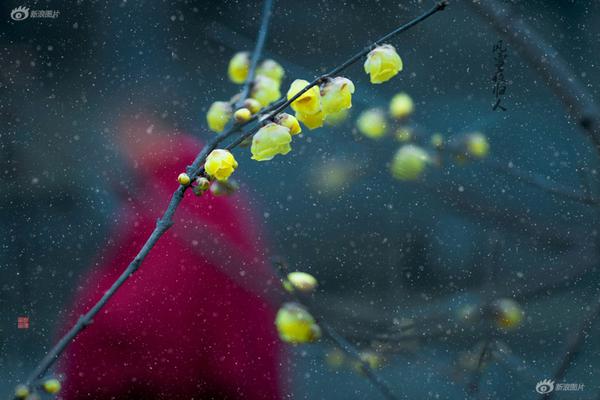 018期澳门彩报-3d图库 示例图 - 说明文字