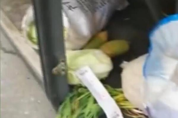 后座小孩带妈妈去姥姥家电子书(姀锡)小说在线全文阅读 示例图 - 说明文字