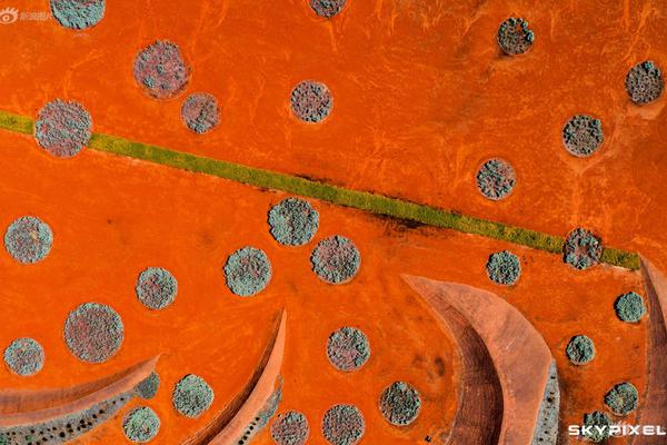 19岁韩国电影tc中字在线观看- 中航影视 示例图 - 说明文字