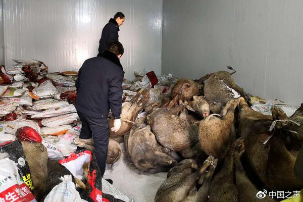 20cm长的棉签在晚上有什么用处 示例图 - 说明文字