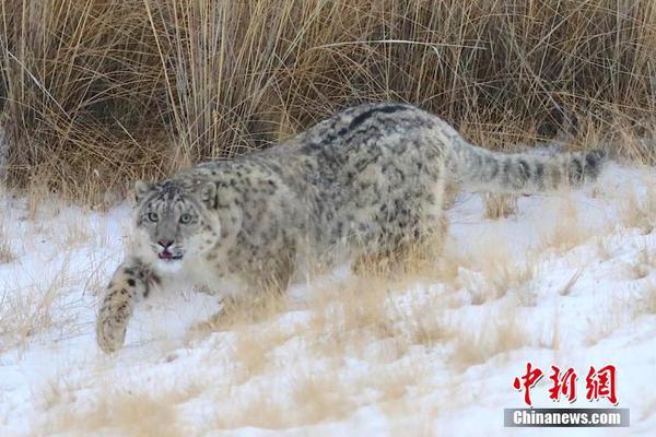 s货大声点c，懒烂你的b，电影高清在线观看 示例图 - 说明文字