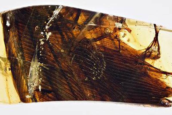 北野未奈hoa∨一101在线观看全集 示例图 - 说明文字