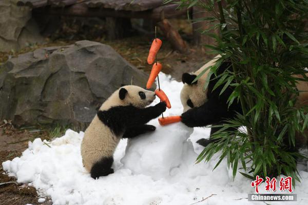 尽情在房间里玩耍游戏冷狐版下载-2021最新冷狐游戏下载链接 示例图 - 说明文字