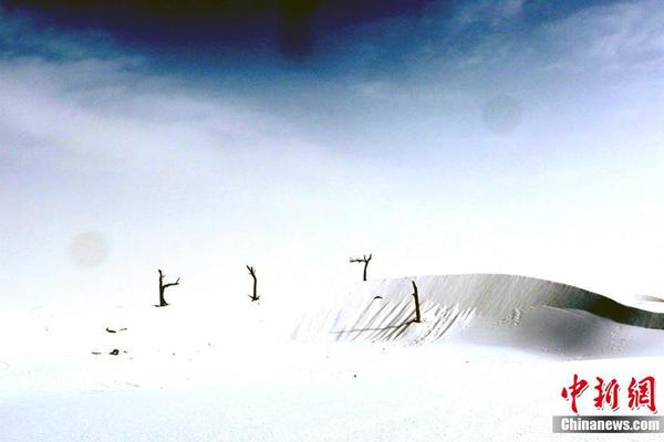 小舞奇遇记下拉漫画txt全集电子书免费下载奇猫趣事网 示例图 - 说明文字