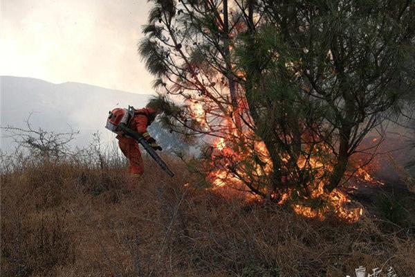 双女车车高清资源在线观看视 示例图 - 说明文字