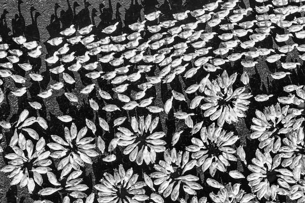 1000部18岁啪啪啪视频-少年之痛杨妞花希望 示例图 - 说明文字