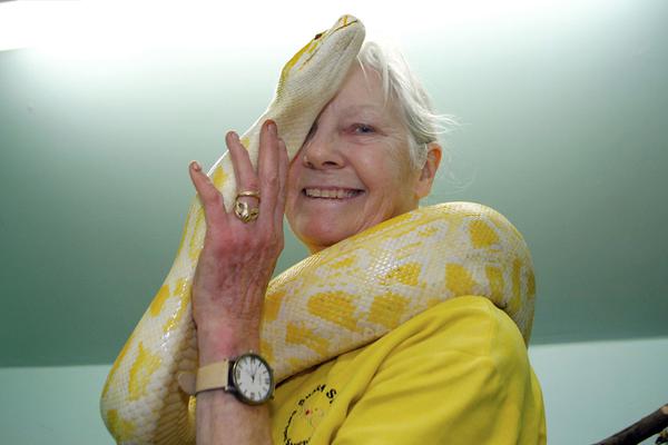 喜欢bl动画的你，来看这些车车动画推荐吧！bl的车车动画 示例图 - 说明文字