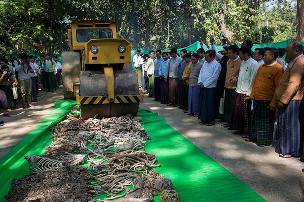 双女车车高清资源在线观看视 示例图 - 说明文字