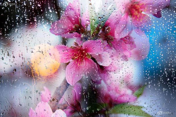 双女车车高清资源在线观看视 示例图 - 说明文字