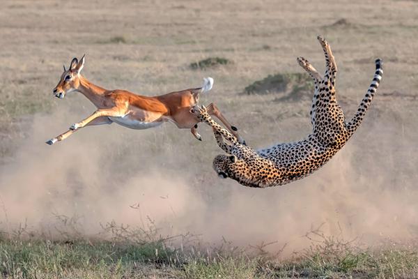 和尚庙里猛如虎免费在线阅读_四缺一_全集最新 示例图 - 说明文字