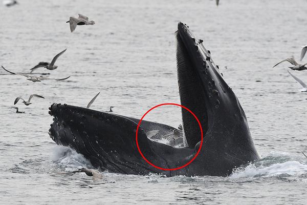 女警花闺房处女学习新技能准备晋升 示例图 - 说明文字