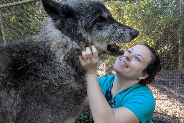 呕吐=美团姑娘怎么约，美团骑手如何进行预约(2024-12-07 21-0) 示例图 - 说明文字