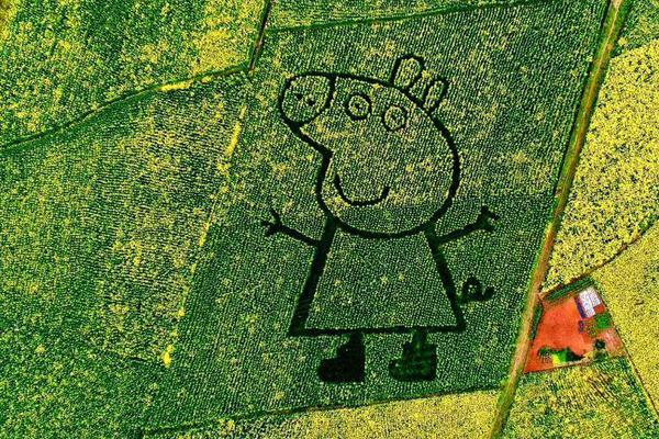 sone-359车牌号鹫尾芽衣升级k罩 示例图 - 说明文字