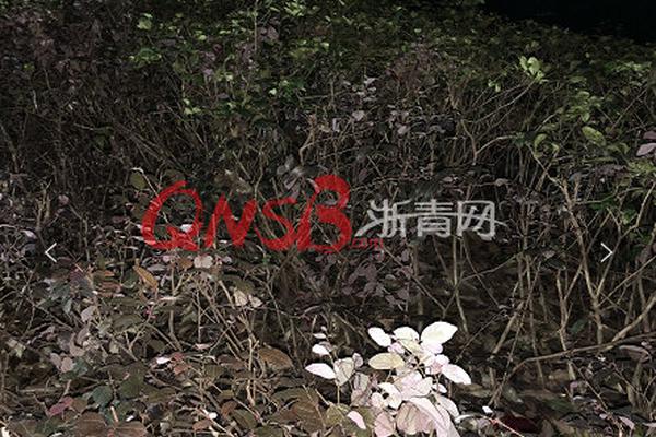 20cm长的棉签在晚上有什么用处 示例图 - 说明文字