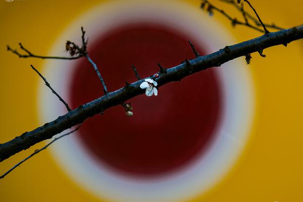 zoomservo兽-科技幻想未来生物 示例图 - 说明文字