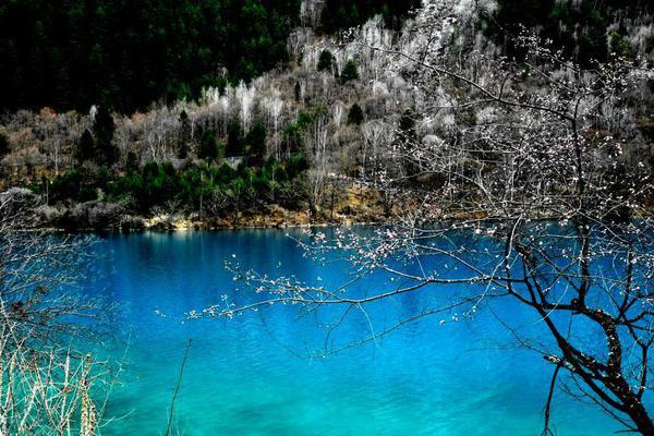 2024一元手游折扣专区，好玩小众游戏排行 示例图 - 说明文字