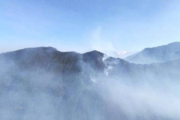 2023奥门正版生肖图v5.6.5 - 生肖图软件下载 示例图 - 说明文字