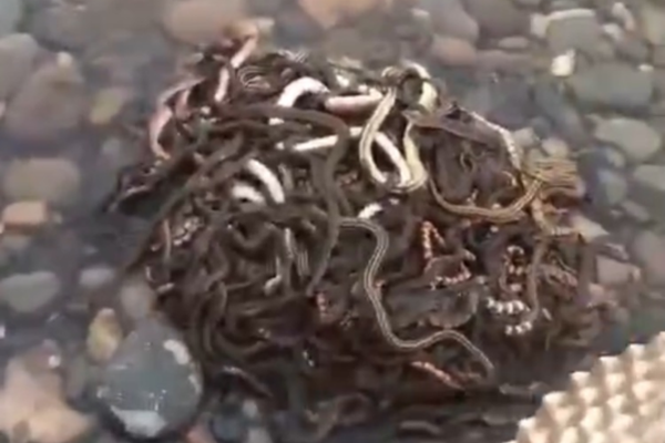 18游戏入口指南，全方位避免问题和风险 示例图 - 说明文字