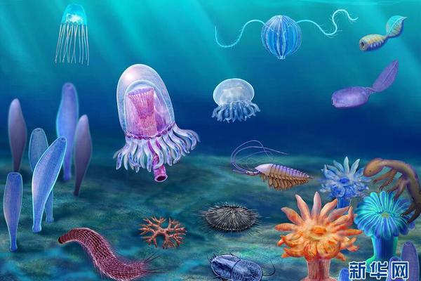 国产av电影精品区一二三区日韩av免费收看 示例图 - 说明文字