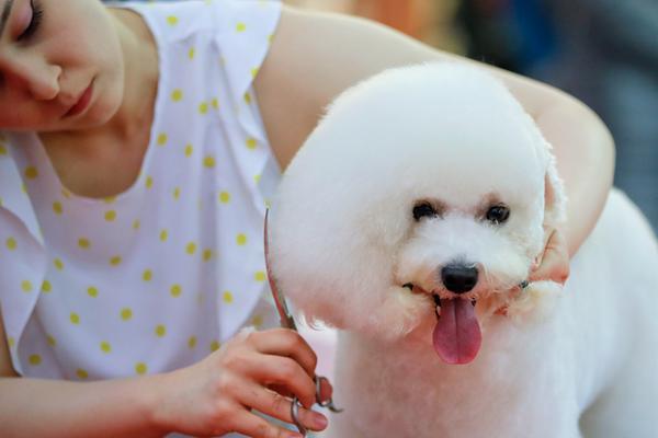 cf电竞新星云悠悠人物介绍游戏攻略 示例图 - 说明文字