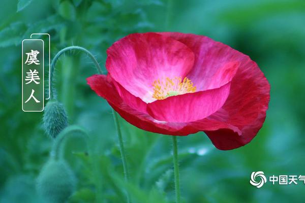 199麻豆up主吐槽盘点，内容绝，我刷了 示例图 - 说明文字