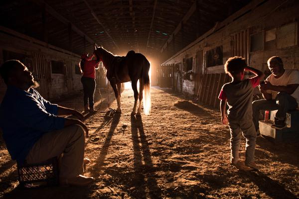 小舞奇遇记下拉漫画txt全集电子书免费下载奇猫趣事网 示例图 - 说明文字