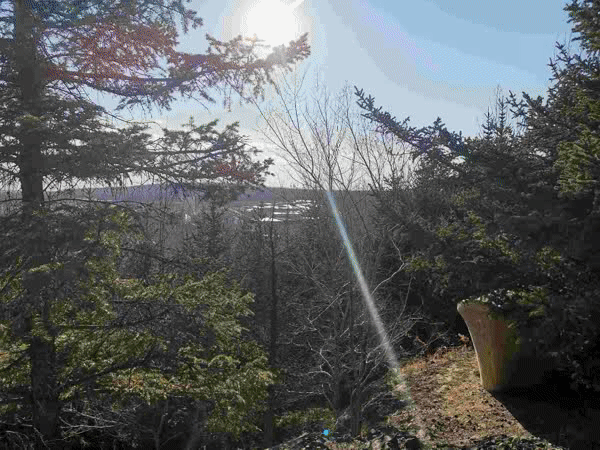 区av电影国产伦精品一二三区日韩av 示例图 - 说明文字