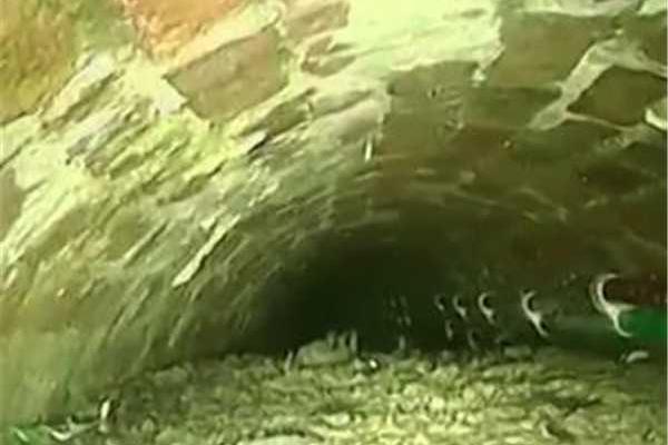 《百千家的妖怪王子》全集动漫-樱花动漫 示例图 - 说明文字