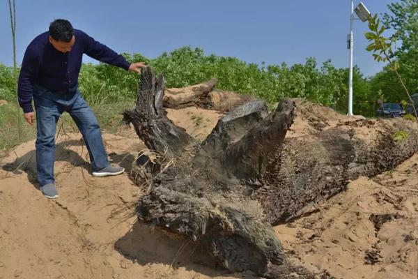 从指尖传出的认真的热情樱花动漫在线播放 示例图 - 说明文字