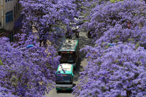 女警花闺房处女学习新技能准备晋升 示例图 - 说明文字