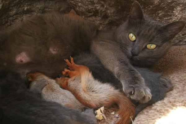 公司公厕小说免费阅读2025最新章节更新 示例图 - 说明文字