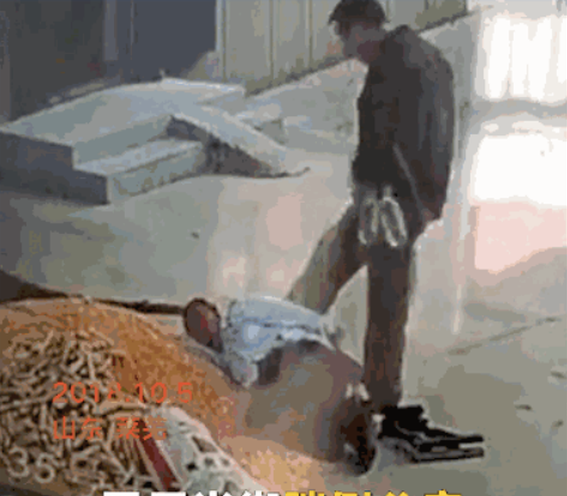 义妹生活免费在线观看-完整版-fhd日漫-新尚影院 示例图 - 说明文字