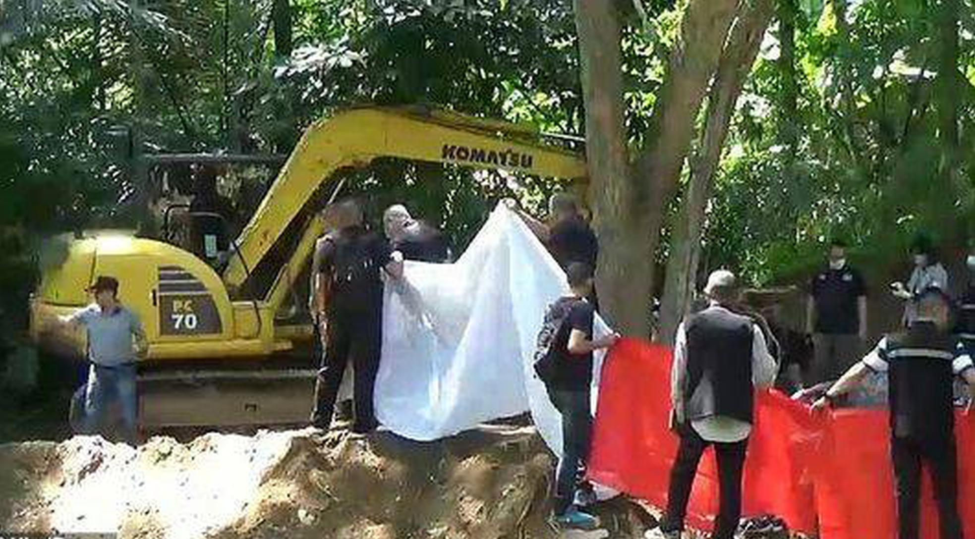 skixixwaswaskino热潮揭秘 示例图 - 说明文字