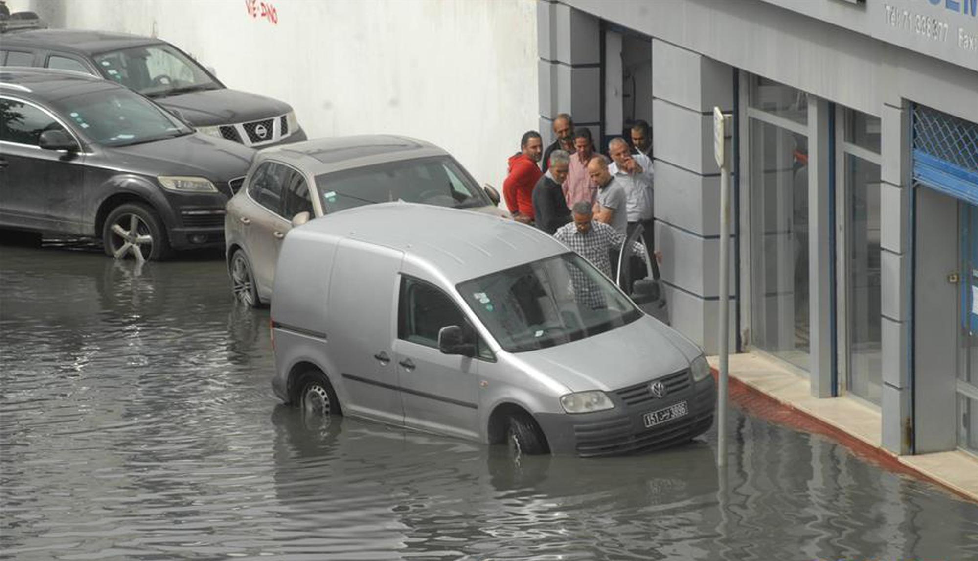 从指尖传出的认真的热情樱花动漫在线播放 示例图 - 说明文字