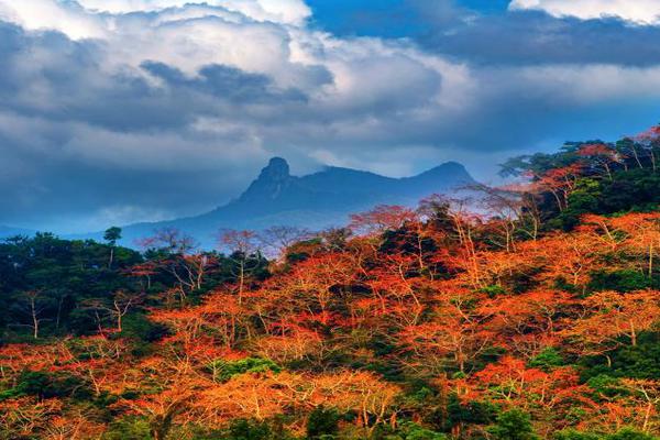 上半年全国社会物流总额1674万亿元，恢复稳定态势持续 示例图 - 说明文字