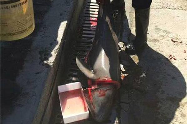 尽情在房间里玩耍游戏冷狐版下载-2021最新冷狐游戏下载链接 示例图 - 说明文字