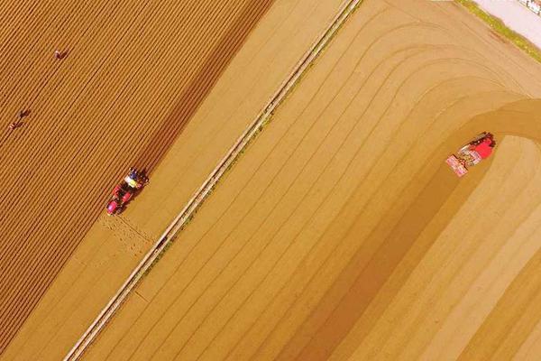 尝心蜜迈开腿尝尝你的草莓 示例图 - 说明文字