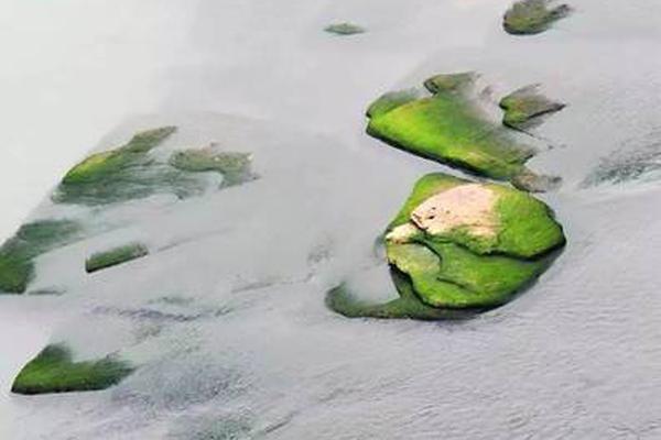 →→fulao2邮箱专业站长版v3314.6314.58585a_ 示例图 - 说明文字