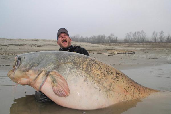 喜欢bl动画的你，来看这些车车动画推荐吧！bl的车车动画 示例图 - 说明文字